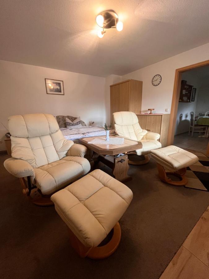 Holzhaus "Miri" Apartment Pirna Ngoại thất bức ảnh